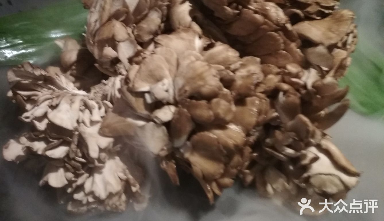 服务：服务非常周到，主动倒水加汤