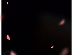 -石葵(锦业时代店)