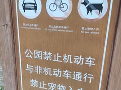 -羊山湖公园