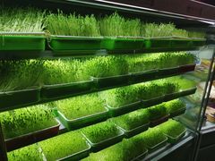 -番食园鲜食火锅(高新店)