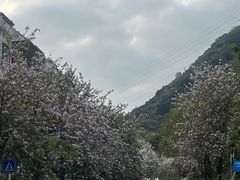-小南山公园