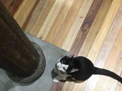 -猫的天空之城概念书店(杭州南宋御街店)