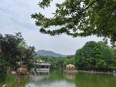 -广州市白云山风景名胜区