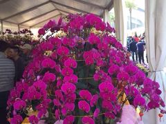 -珠海市体育中心-游泳馆