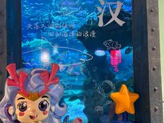 -海合安武汉极地海洋公园