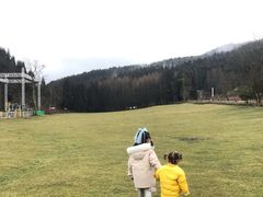 -武陵山森林公园