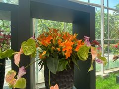 -上海鲜花港