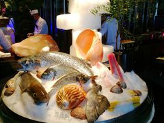 三文鱼刺身-广州富力君悦大酒店·凯菲厅