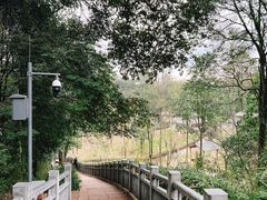 -中国大熊猫保护研究中心雅安碧峰峡基地