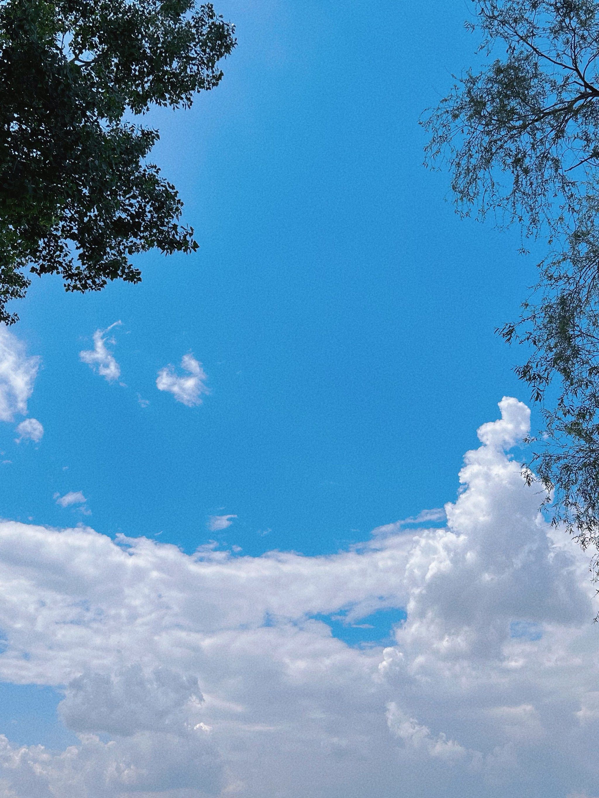天空摄影大赛
