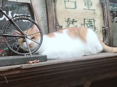 -古董花园(思南路42弄小区店)