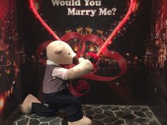 -济州岛泰迪熊博物馆