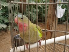 -南宫五洲植物乐园