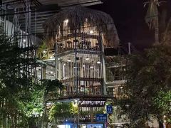 -Rainforest