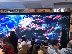 大堂-金苑海鲜酒家(来魅力店)