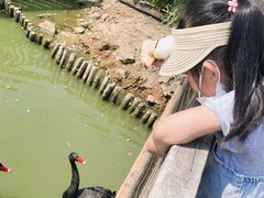-无锡动物园·太湖欢乐园