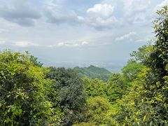 -青城山