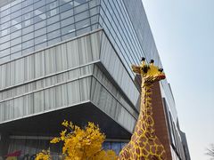 -上海长风大悦城