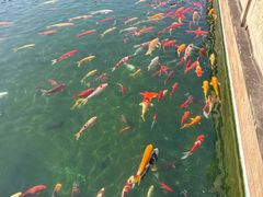 -东钱湖旅游度假区