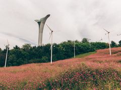 -沈阳植物园
