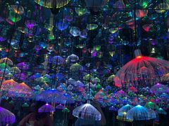-天津梵高星空艺术馆(天河城旗舰店)