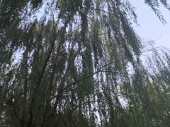 -方庄体育公园