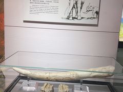 -烟台市博物馆