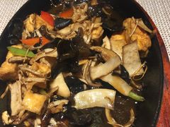 -素虎小呆鸟(西二旗店)