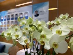 -杭州贝瑞斯美华妇儿医院·早孕·产检·儿科