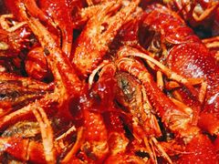 招牌香辣龙虾-沪小胖·小龙虾·蓝龙王(八佰伴店)