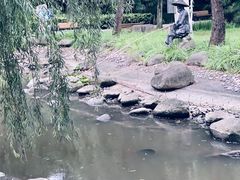 -苏州河梦清园环保主题公园