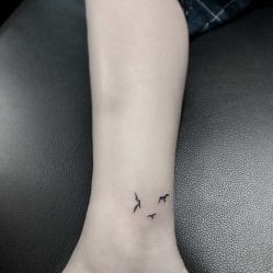 -明星刺青·洗纹身