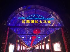-广州长隆国际大马戏