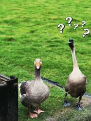 -太湖雪蚕桑文化园