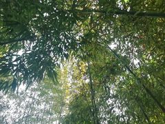 -沣峪口