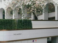-尼依格罗香港美利酒店