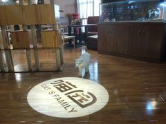 -喵园·猫主题咖啡厅·撸猫·猫咖(国贸店)