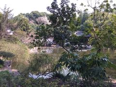 iphone_upload_pic-汇龙潭