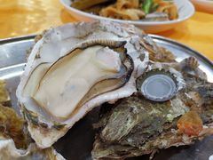 -蚝专家(北滘店)