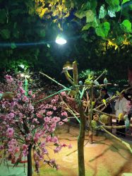 点击看大图 -酷嗒动物文化乐园(cutezoo西溪乐天城店)