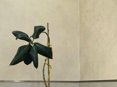 -沐风阁·茶室·棋牌