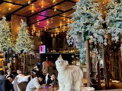 -THE CANNERY&JUJU 新鲜海鲜·牛排美食酒廊