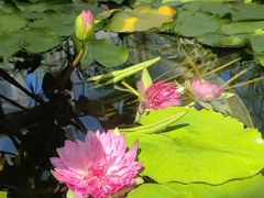 -国家植物园南园