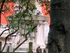 -黔灵山公园