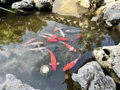 -道南書院·私房菜·早午茶·茶馆