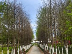 -院士公园