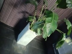 -阿伟海鲜楼·福建菜(涵江店)