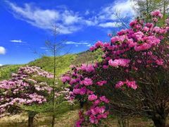 -重庆平顶山公园