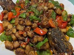 -煲来饱去冷水鱼