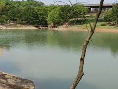 -南京市无想山景区